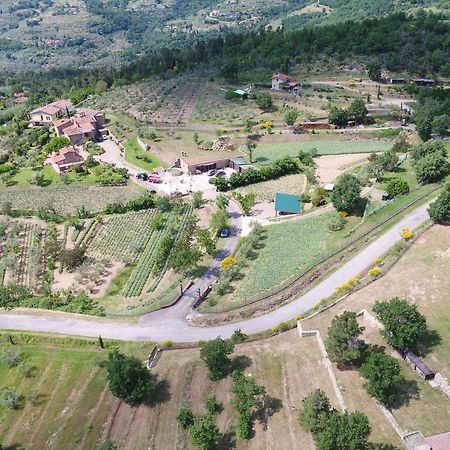 Agriturismo Villa Iris Castelfranco di Sopra Exteriör bild