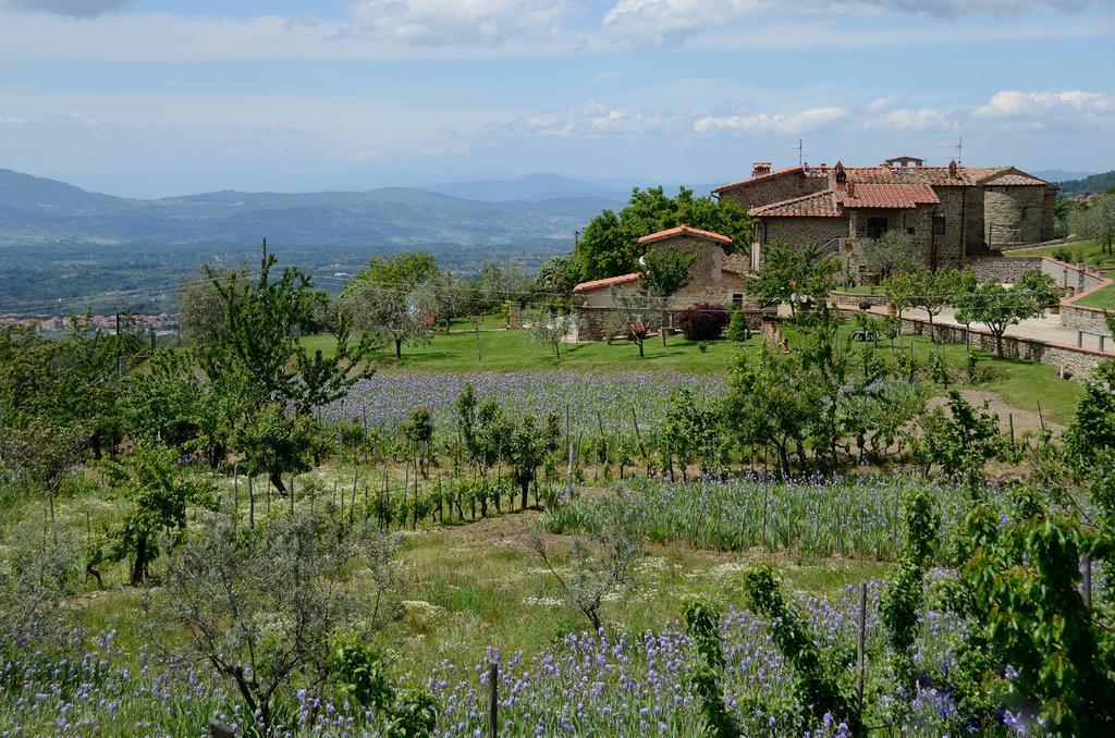 Agriturismo Villa Iris Castelfranco di Sopra Exteriör bild