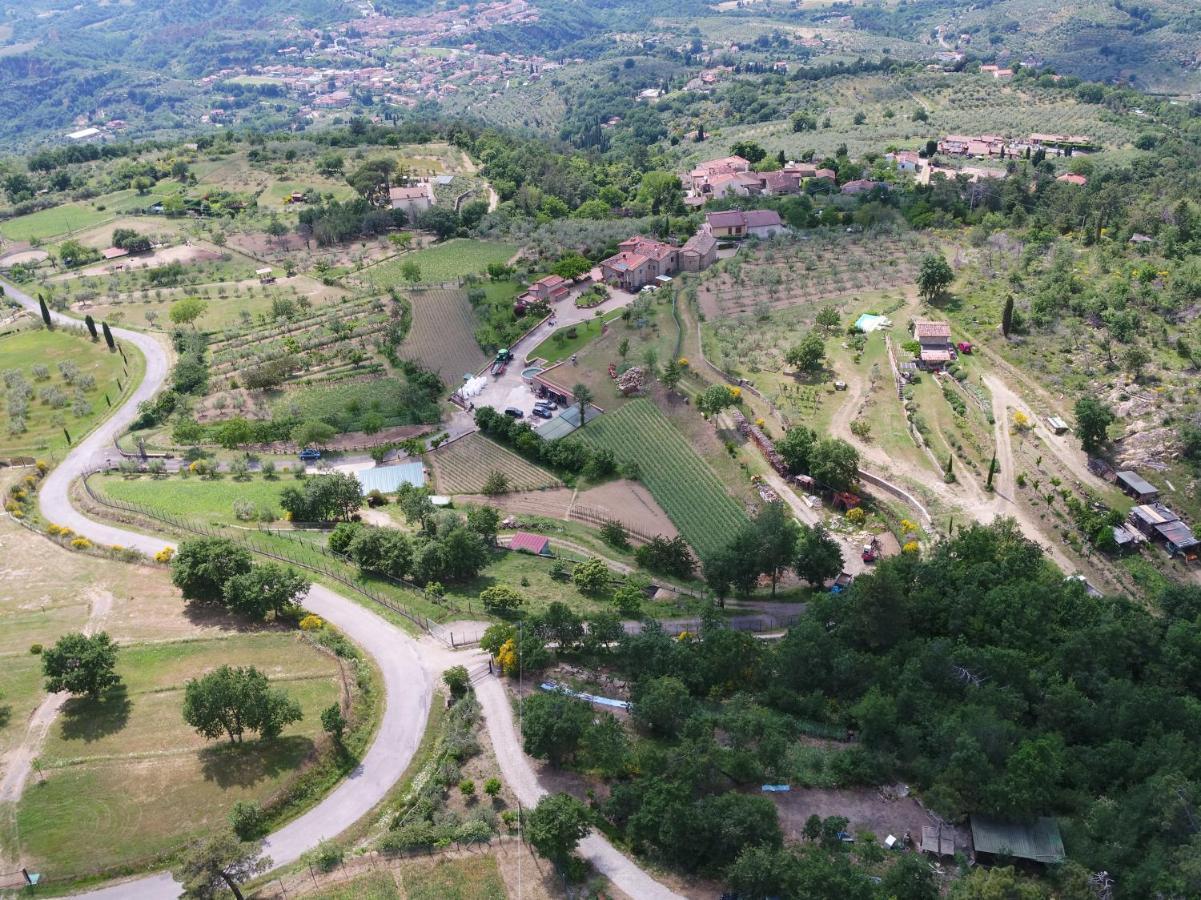 Agriturismo Villa Iris Castelfranco di Sopra Exteriör bild
